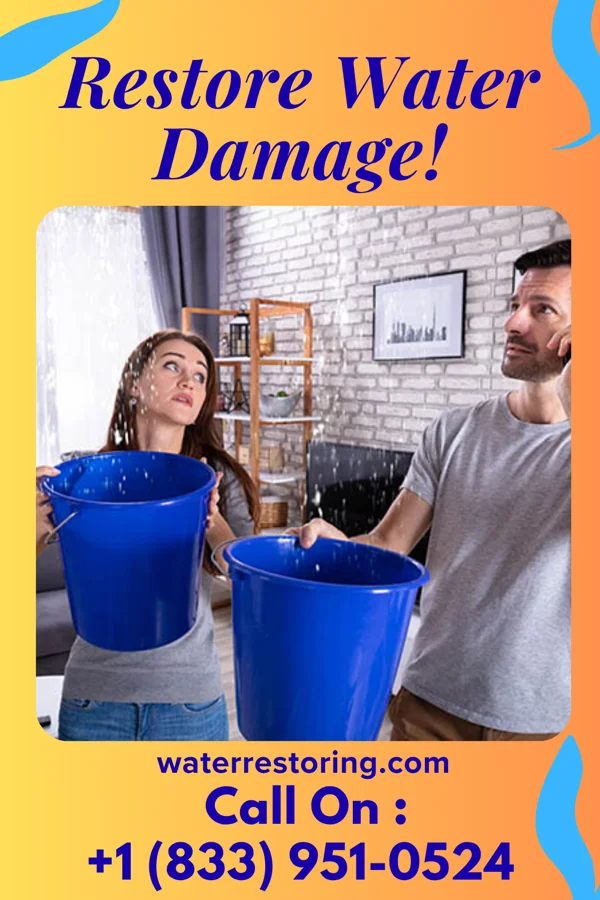 water restoration Priority Disaster Cleanup Brothers Bowling Green