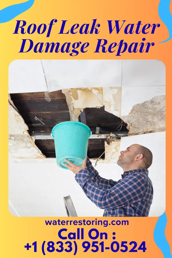 Roof Leak Water Damage Repair in Bowling Green, VA
