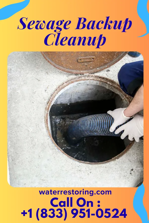 Sewage Backup Cleanup in Bowling Green, VA