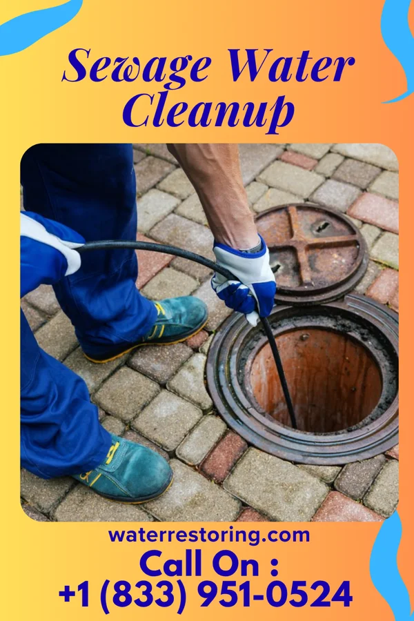 Sewage Water Cleanup in Bowling Green, VA
