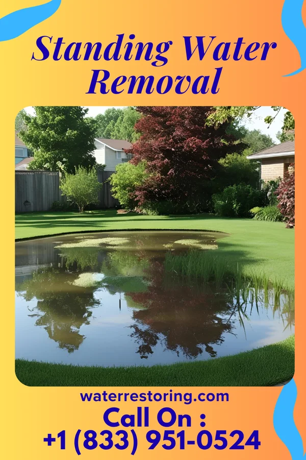 Standing Water Removal in Bowling Green, VA